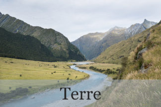 Terre